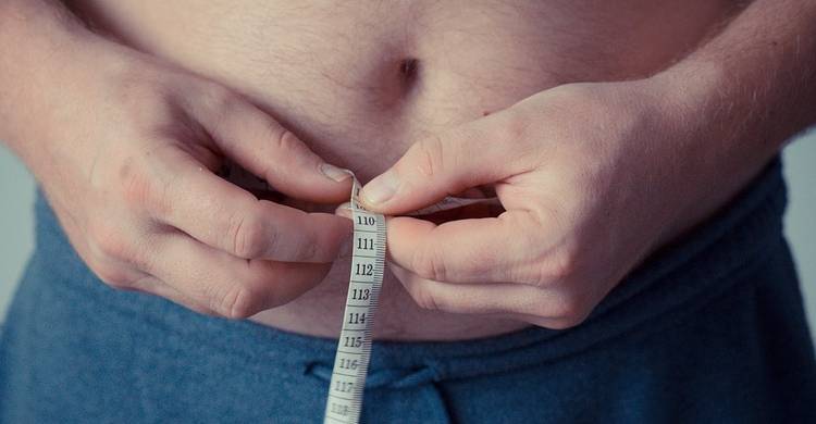 La obesidad está estrechamente vinculada con los alimentos procesados