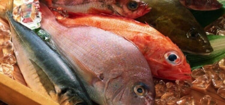 El pescado, un tipo de carne