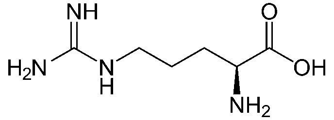 Composición química de la arginina