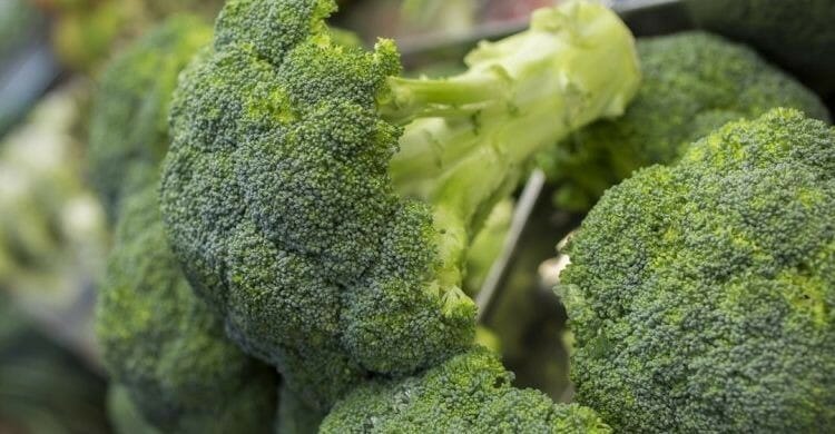 Alimentos con vitamina K