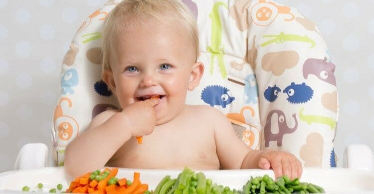 Baby Led Weaning