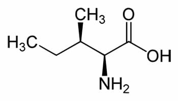Composición química de la isoleucina
