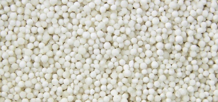 Qué es la tapioca