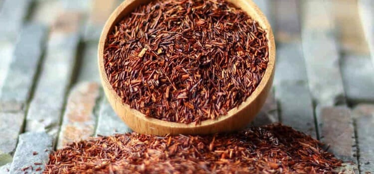 Rooibos