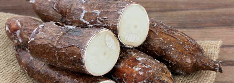 ¿Es buena la tapioca para adelgazar?