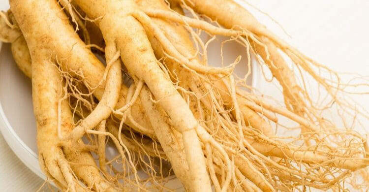 Ginseng