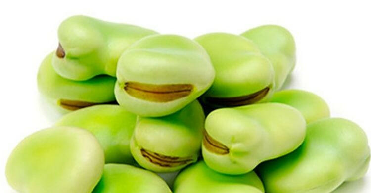 Nutrientes de las habas