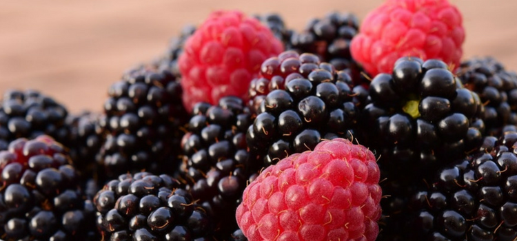 Moras en la dieta fodmap