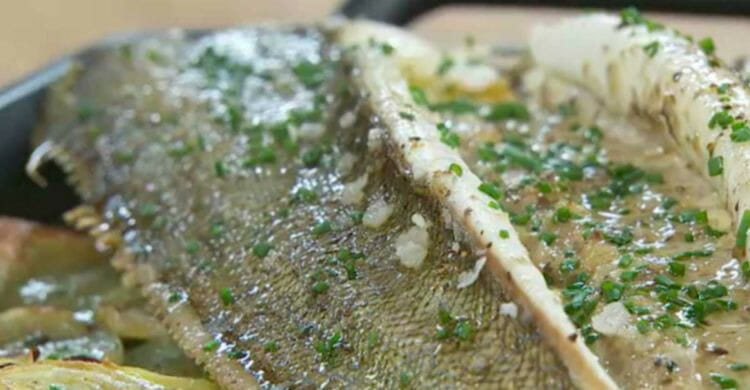 Recetas de pescado blanco