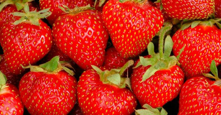 Las fresas son un excelente remedio para unos dientes blancos