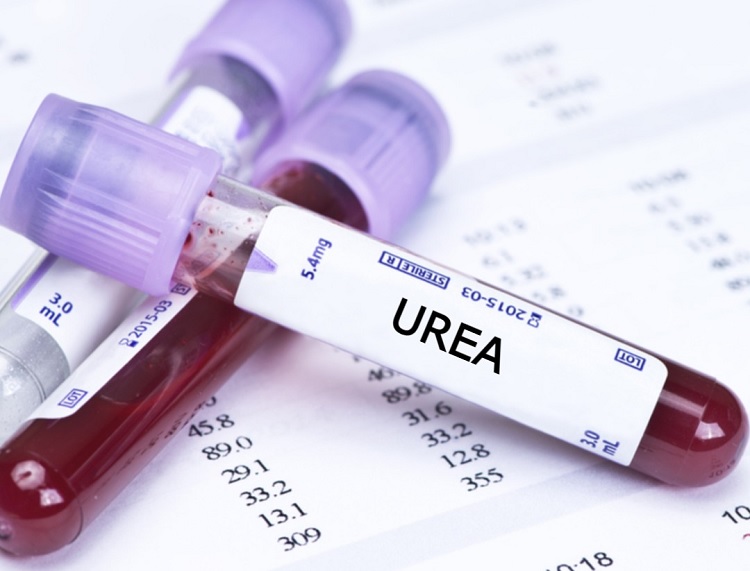 Urea alta