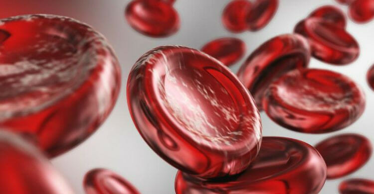 Causas de los monocitos altos en sangre