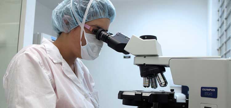 Funcionamiento sistema nervioso
