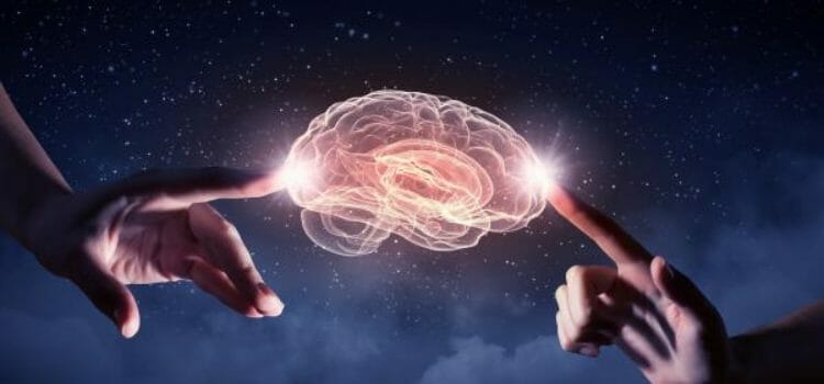 Creatividad neurociencia