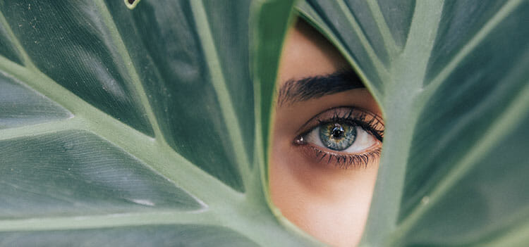 Partes del ojo humano y sus funciones