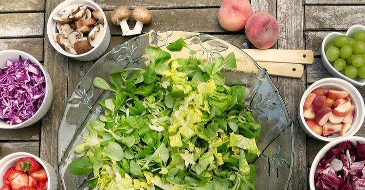 Vegetarianismo