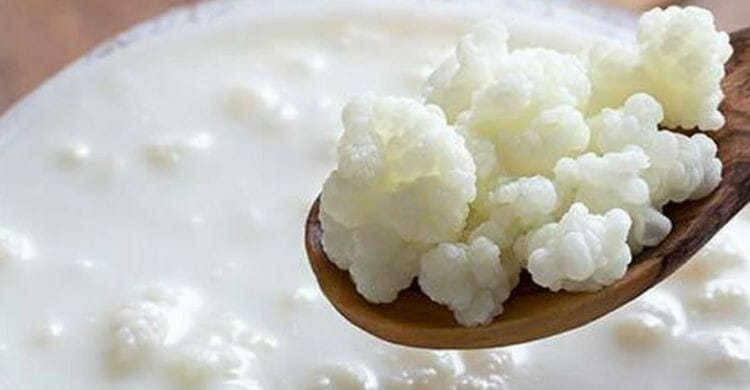 Qué son los alimentos fermentados