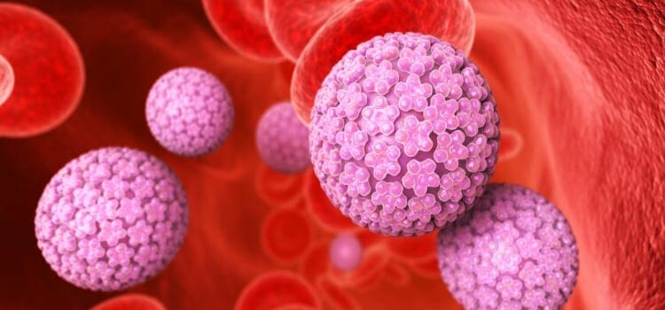 Virus del papiloma humano (VPH)