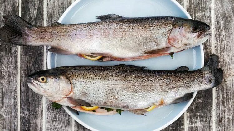 Pescados con más anisakis