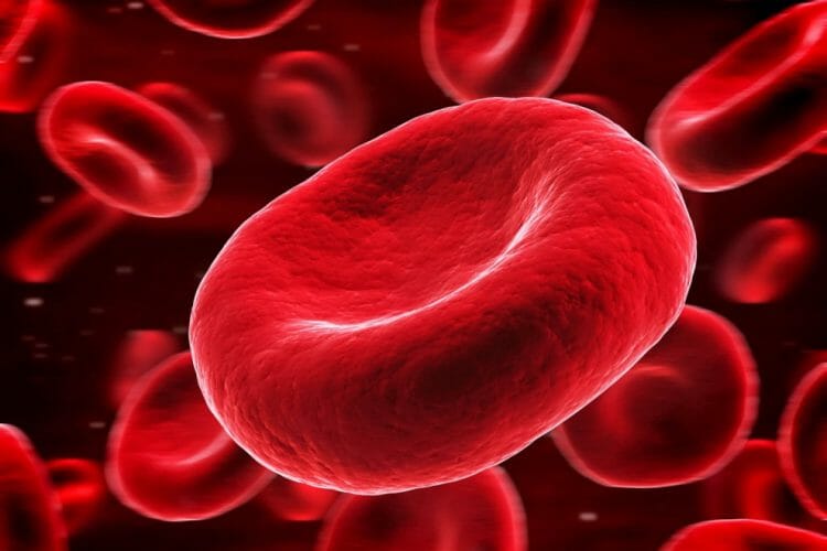 Hematíes altos: causas, síntomas y tratamiento