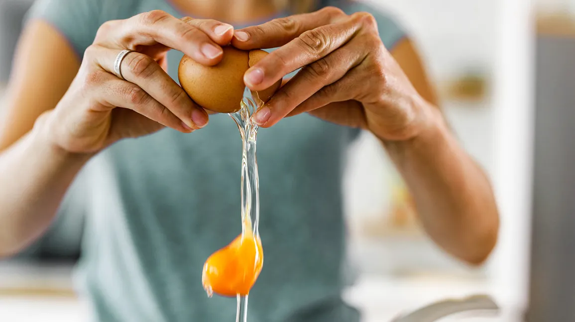 Proteína de los huevos
