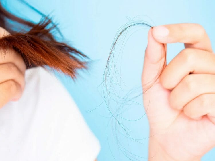 Caída del pelo en verano