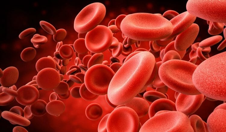 Glóbulos rojos altos, bajos y su función