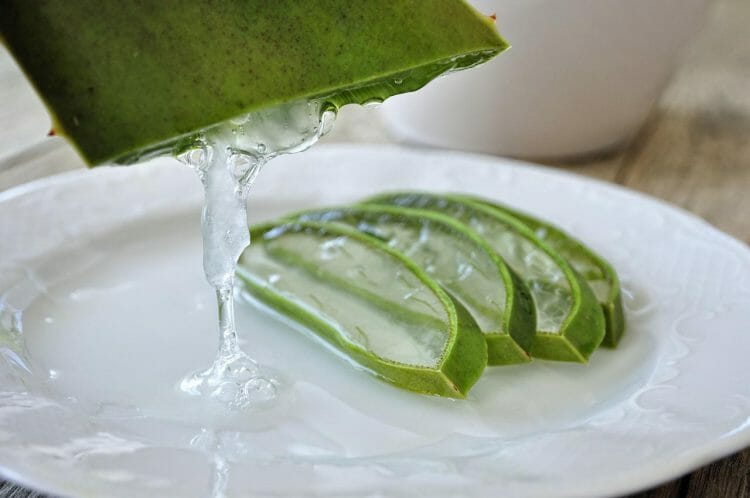 Propiedades de la aloe vera y principales utilidades para la salud