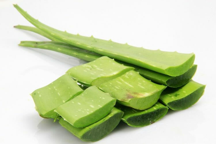 Usos de aloe vera