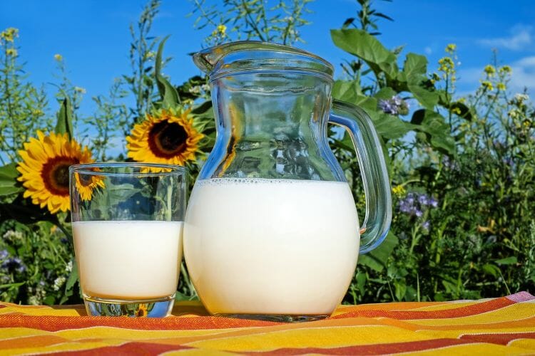 Leche caliente para la tos
