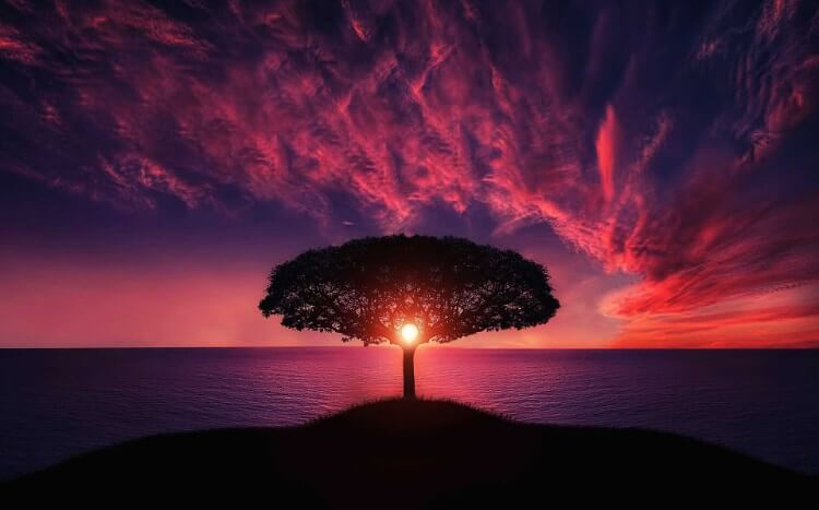 65 Frases de la vida para reflexionar: inspiración y motivación