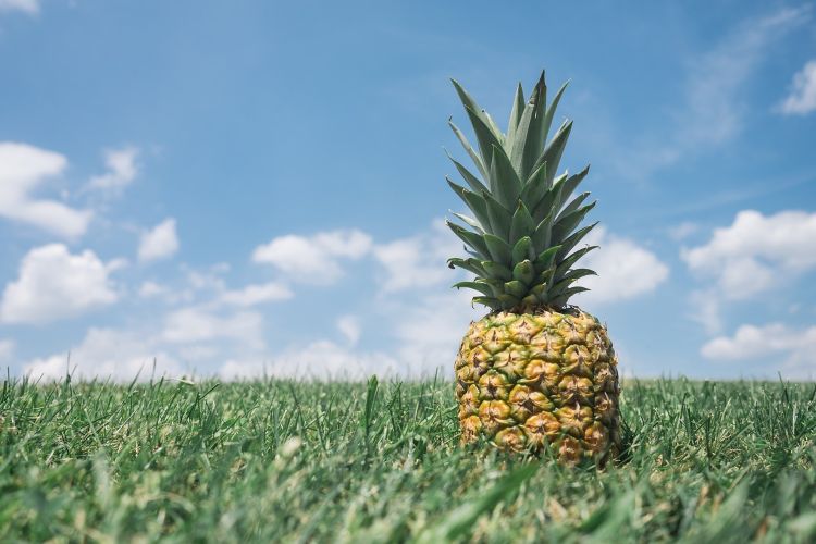 10 beneficios de la piña para tu salud según la evidencia científica