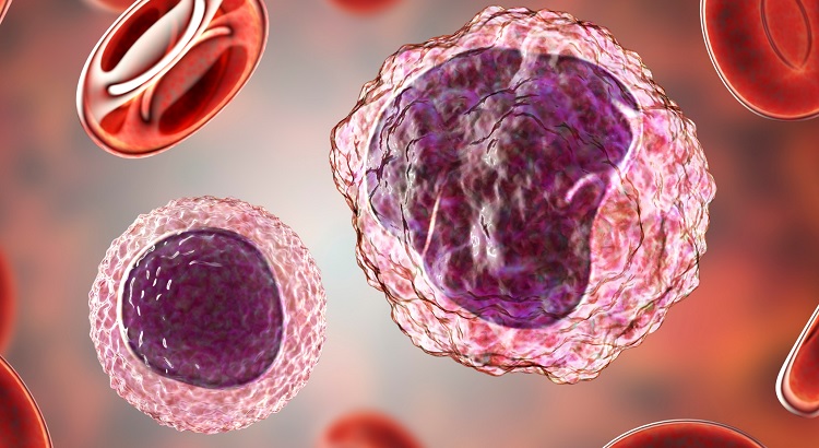 Basófilos bajos: qué significa tener basopenia