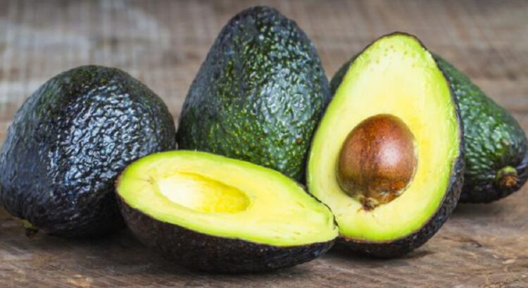 Alimentos que favorecen la recuperación postentrenamiento_Aguacate
