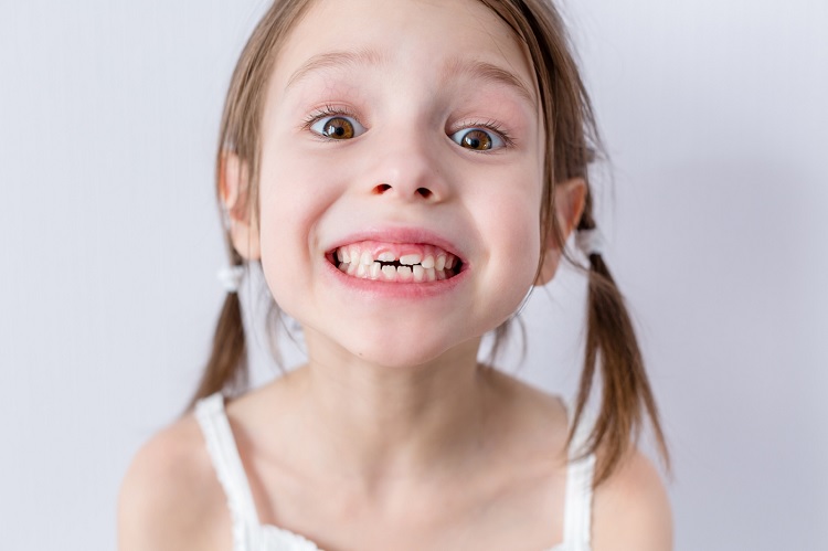 Cuántos dientes tenemos