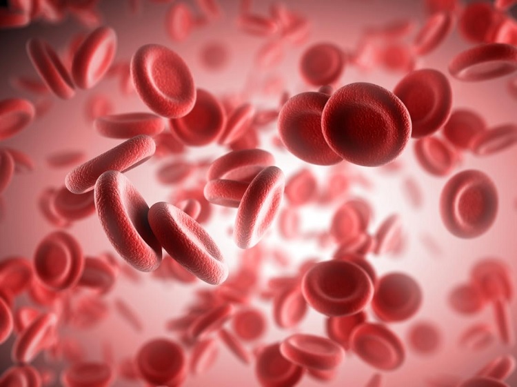 Proteínas bajas en sangre