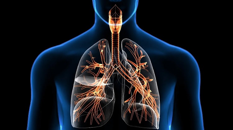 Agua en los pulmones: síntomas, causas y tratamiento