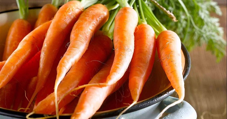 Zanahorias