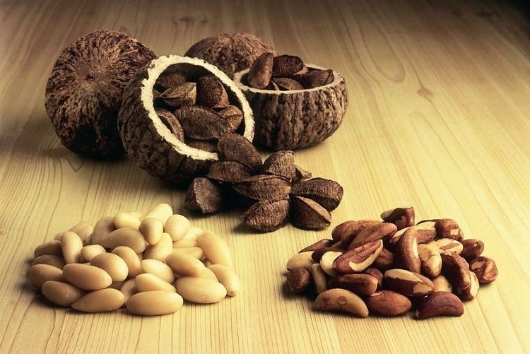 Nueces de Brasil