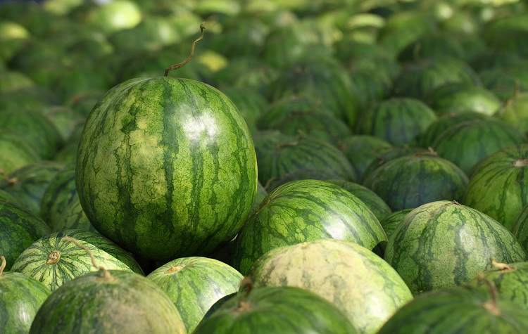 Melón de agua