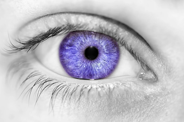 Síndrome de Alejandría: la mutación de los ojos violetas