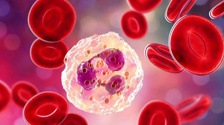 Leucopenia: causas, síntomas y tratamiento