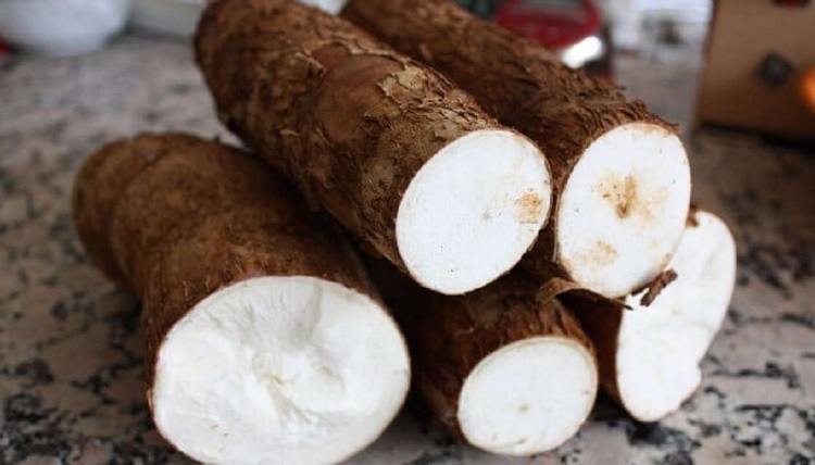 ¿Qué es la yuca y cuáles son sus propiedades?