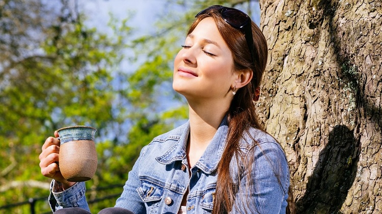 Fuente de vitamina D