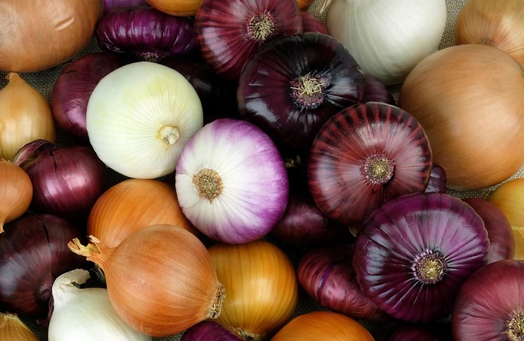 Tipos de cebollas