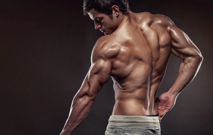 Ejercicios de hombro: cómo entrenar y cuáles son las mejores rutinas