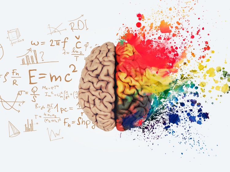 Hemisferio cerebral izquierdo: funciones y lesiones cerebrales
