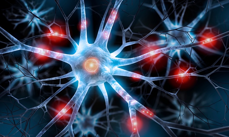 Neuronas