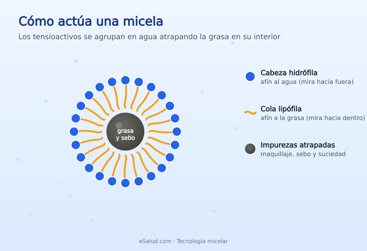 Esquema de cómo actúa una micela: cabezas hidrófilas hacia el agua y colas lipófilas hacia dentro atrapando la grasa