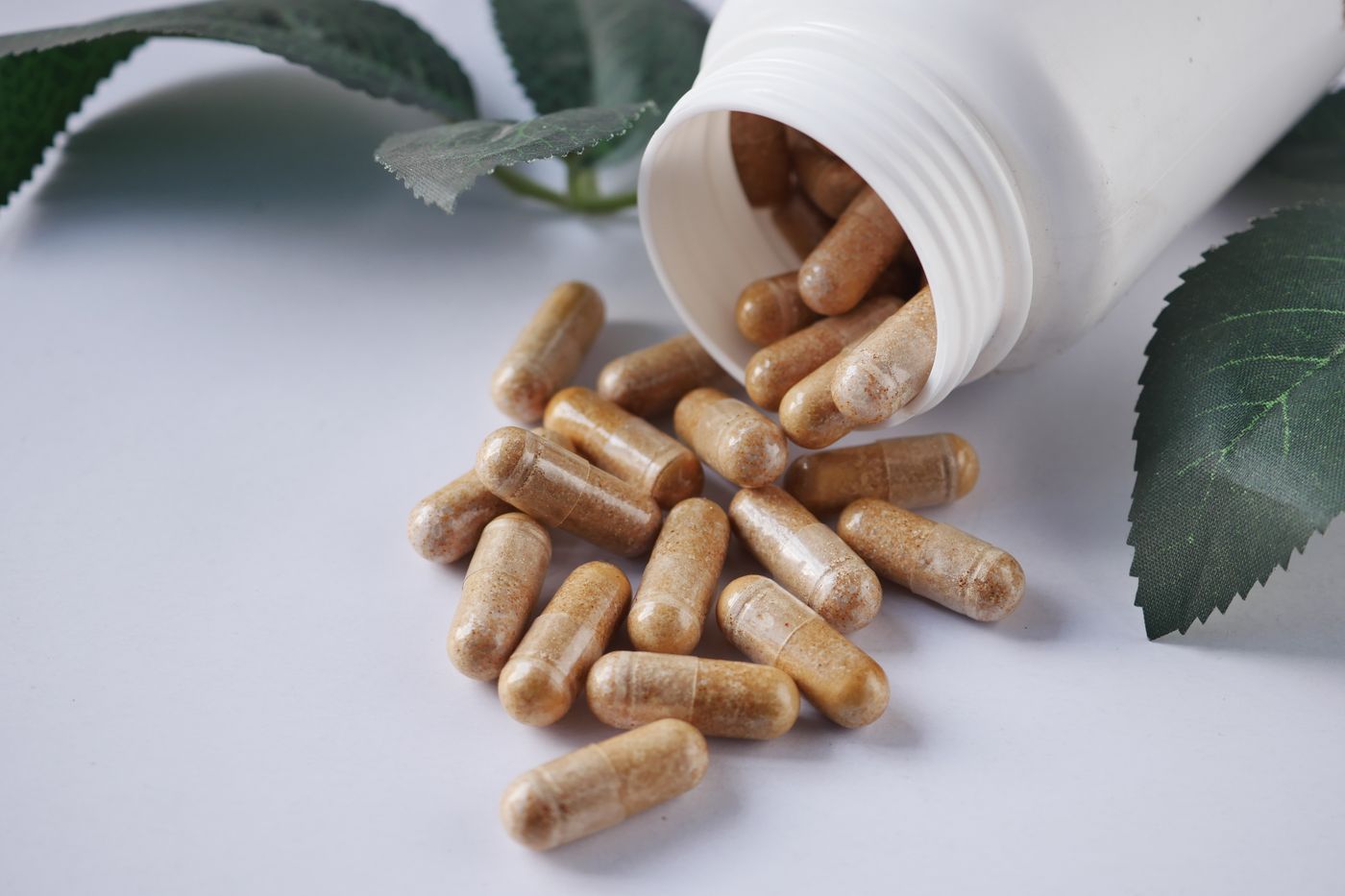 Ashwagandha: para qué sirve, beneficios, dosis y contraindicaciones